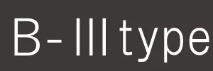 タイプB3